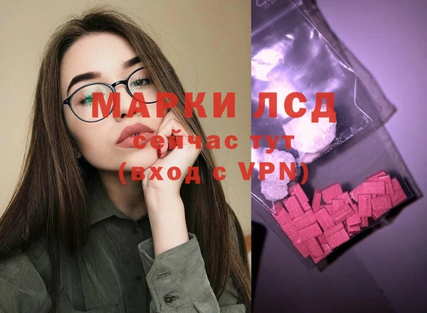 прущие грибы Нязепетровск