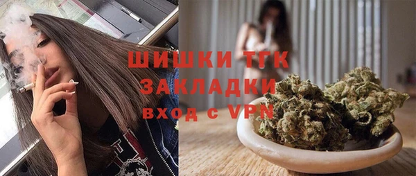 прущие грибы Нязепетровск